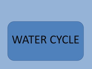 WATER CYCLE
 