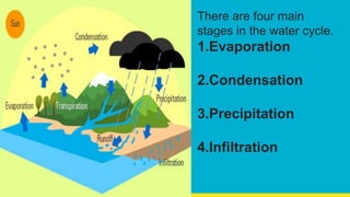 There are four main
stages in the water cycle.
1.Evaporation
2.Condensation
3.Precipitation
4.Infiltration
 