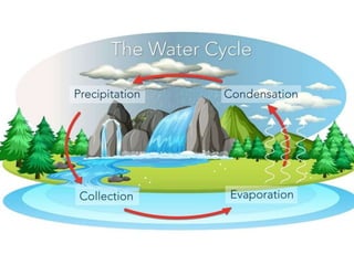 Water cycle