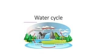 Water cycle
 
