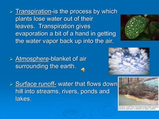  Transpiration-is the process by which
plants lose water out of their
leaves. Transpiration gives
evaporation a bit of a hand in getting
the water vapor back up into the air.
 Atmosphere-blanket of air
surrounding the earth.
 Surface runoff- water that flows down
hill into streams, rivers, ponds and
lakes.
 