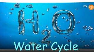 Water Cycle
 