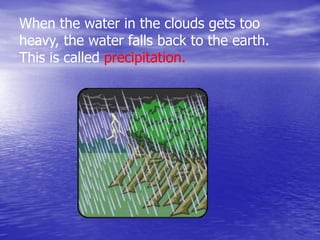 When the water in the clouds gets too
heavy, the water falls back to the earth.
This is called precipitation.
 