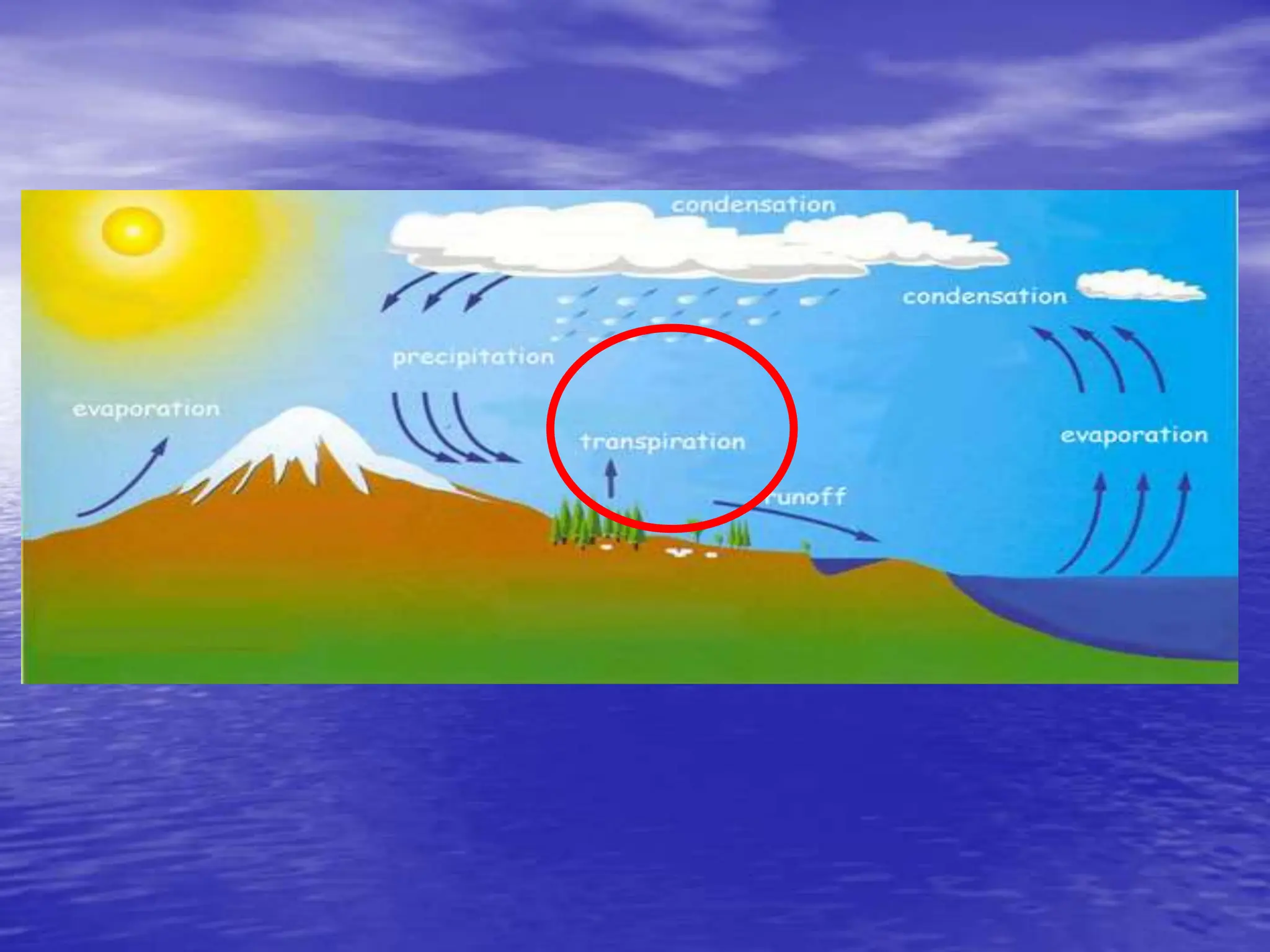 Grade Four Week Three Science Lesson: Water Cycle.ppt