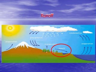 Runoff
Runoff
 