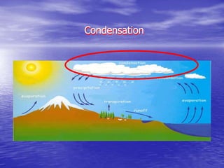 Condensation
Condensation
 