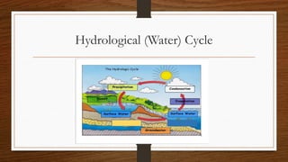 Comprehensive Overview of the Hydrological Cycle and Drainage Basin ...