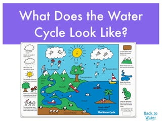 What Does the Water
 Cycle Look Like?




                      Back to
                       Water
 