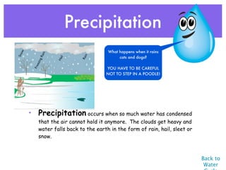 Precipitation
                                What happens when it rains
                                     cats and dogs?

                               YOU HAVE TO BE CAREFUL
                               NOT TO STEP IN A POODLE!




• Precipitation occurs when so much water has condensed
   that the air cannot hold it anymore.  The clouds get heavy and
   water falls back to the earth in the form of rain, hail, sleet or
   snow.



                                                                       Back to
                                                                        Water
 