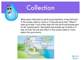 Collection
•   When water falls back to earth as precipitation, it may fall back
    in the oceans, lakes or rivers or it may end up on land.  When it
    ends up on land, it will either soak into the earth and become part
    of the “ground water” that plants and animals use to drink or it
    may run over the soil and collect in the oceans, lakes or rivers
    where the cycle starts




                                                               Back to
                                                                Water
 