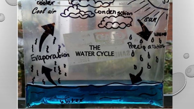 Water cycle activity grade 2
