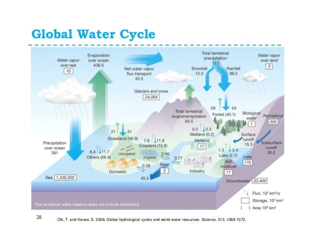 Water cycle and water budget