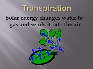 TranspirationSolar energy changes water to gas and sends it into the air