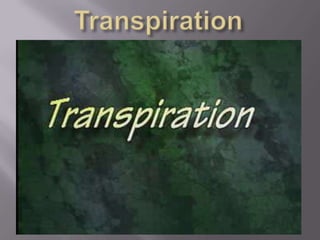 Transpiration