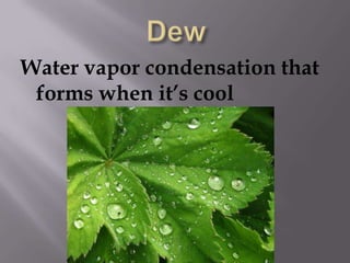 DewWater vapor condensation that forms when it’s cool