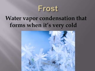 FrostWater vapor condensation that forms when it’s very cold