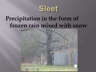 SleetPrecipitation in the form of frozen rain mixed with snow