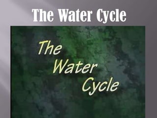 The Water Cycle