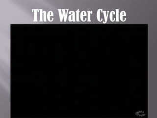 The Water Cycle