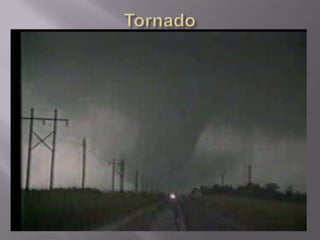 Tornado