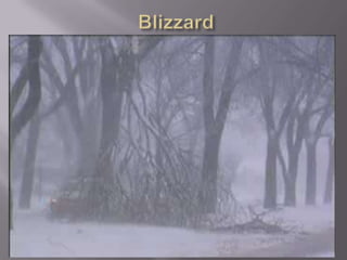 Blizzard