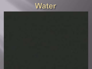Water
