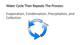 Water Cycle Then Repeats The Process:
Evaporation, Condensation, Precipitation, and
Collection
 