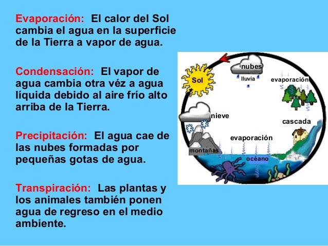Ciclo del agua