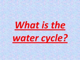 What is the water cycle? 