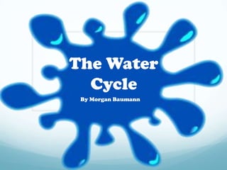 The Water
  Cycle
 By Morgan Baumann
 