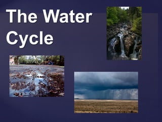 The Water
Cycle
 
