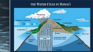 THE WATER CYCLE IN HAWAI’I
 