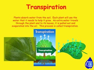 Transpiration Plants absorb water from the soil.  Each plant will use the water that it needs to help it grow.  As extra water travels through the plant and to its leaves, it is pulled out and evaporated into the air.  This process is called transpiration.  Transpiration Return to Table of Contents 