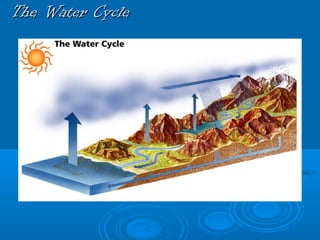 The Water CycleThe Water Cycle
 