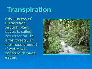 Transpiration
Transpiration
This process of
This process of
evaporation
evaporation
through plant
through plant
leaves is called
leaves is called
transpiration
transpiration. In
. In
large forests, an
large forests, an
enormous amount
enormous amount
of water will
of water will
transpire through
transpire through
leaves.
leaves.
 