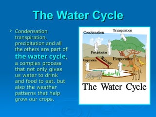 The Water Cycle
The Water Cycle
 Condensation
Condensation
transpiration,
transpiration,
precipitation and all
precipitation and all
the others
the others are part of
are part of
the water cycle
the water cycle,
,
a complex process
a complex process
that not only gives
that not only gives
us water to drink
us water to drink
and food to eat, but
and food to eat, but
also the weather
also the weather
patterns that help
patterns that help
grow our crops.
grow our crops.
 