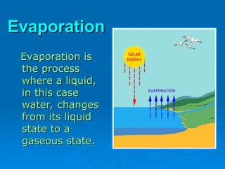 Evaporation
Evaporation
Evaporation is
Evaporation is
the process
the process
where a liquid,
where a liquid,
in this case
in this case
water, changes
water, changes
from its liquid
from its liquid
state to a
state to a
gaseous state.
gaseous state.
 