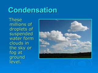 Condensation
Condensation
These
These
millions of
millions of
droplets of
droplets of
suspended
suspended
water form
water form
clouds in
clouds in
the sky or
the sky or
fog at
fog at
ground
ground
level.
level.
 