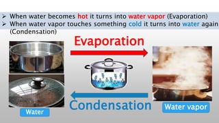 Condense Process Water cycle G2 | PPTX