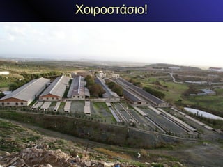 Χοιοστάσιο! 