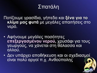 Σπατάλη Ποτίζουμε γρασίδια, γήπεδα και  ξένα για το κλίμα μας φυτά  με μεγάλες απαιτήσεις στο νερό. Αφήνουμε μεγάλες ποσότητες  επεξεργασμένου νερού ,  χρυσάφι για τους γεωργούς, να χάνεται στη θάλασσα και αλλού. Δεν υπάρχει αποθήκευση και οι σχεδιασμοί είναι πολύ αργοί π.χ. Ανθούπολης 