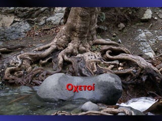 Οχετοί 