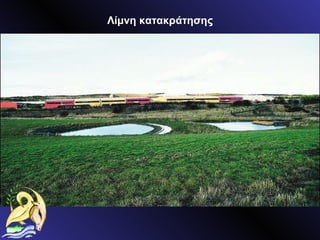 Λίμνη κατακράτησης 
