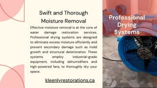 Professional
Drying
Systems
Swift and Thorough
Moisture Removal
Effective moisture removal is at the core of
water damage restoration services.
Professional drying systems are designed
to eliminate excess moisture efficiently and
prevent secondary damage such as mold
growth and structural deterioration. These
systems employ industrial-grade
equipment, including dehumidifiers and
high-powered fans, to thoroughly dry your
space.
kleenlyrestorations.ca
 