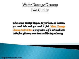 When water damage happens to your home or business,
you need help and you need it fast. Water Damage
Cleanup Port Clinton is progressive, so if it isn’t dealt with
in the first 48 hours, someitemscould be beyond saving.
http://restorepro.com/
 