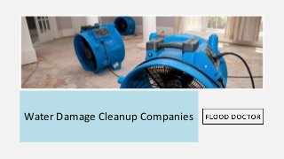 Water Damage Cleanup Companies
 