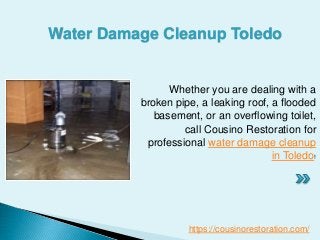 Whether you are dealing with a
broken pipe, a leaking roof, a flooded
basement, or an overflowing toilet,
call Cousino Restoration for
professional water damage cleanup
in Toledo!
Water Damage Cleanup Toledo
https://cousinorestoration.com/
 