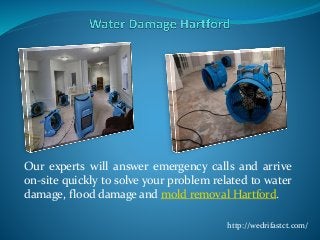 Our experts will answer emergency calls and arrive 
on-site quickly to solve your problem related to water 
damage, flood damage and mold removal Hartford. 
http://wedrifastct.com/ 
 