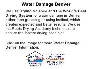 Water Damage Denver
We use Drying Science and the World’s Best
Drying System for water damage in Denver
rather then guessing or using instinct, which
creates expected and better results. We use
the Reets Drying Academy techniques to
ensure the fastest drying possible!

Click on the Image for more Water Damage
Denver Information.
 
