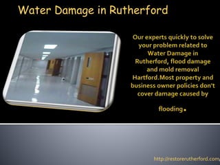 Water Damage in Rutherford
http://restorerutherford.com/
 